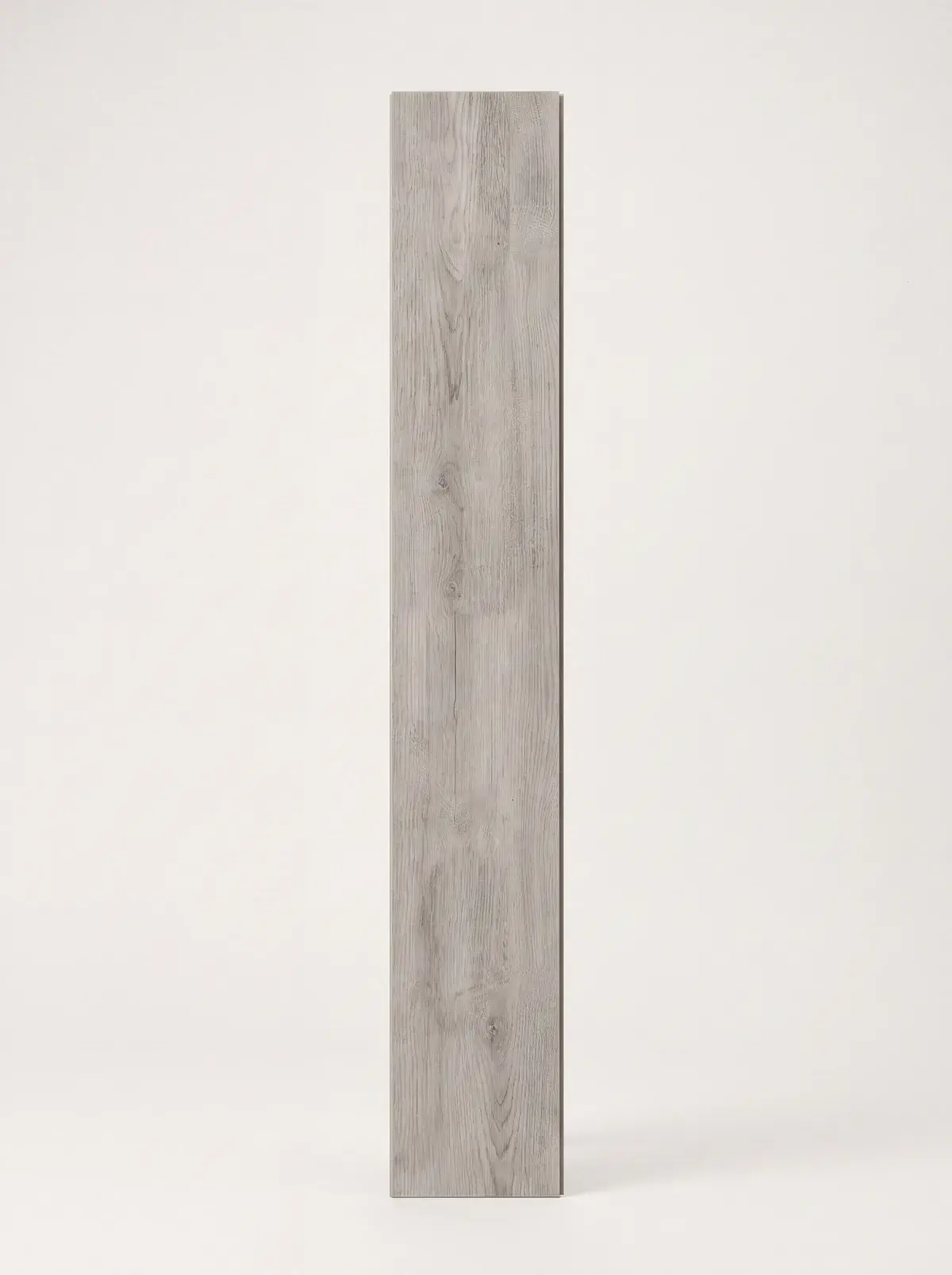 Silverbirch, Gallery Collection