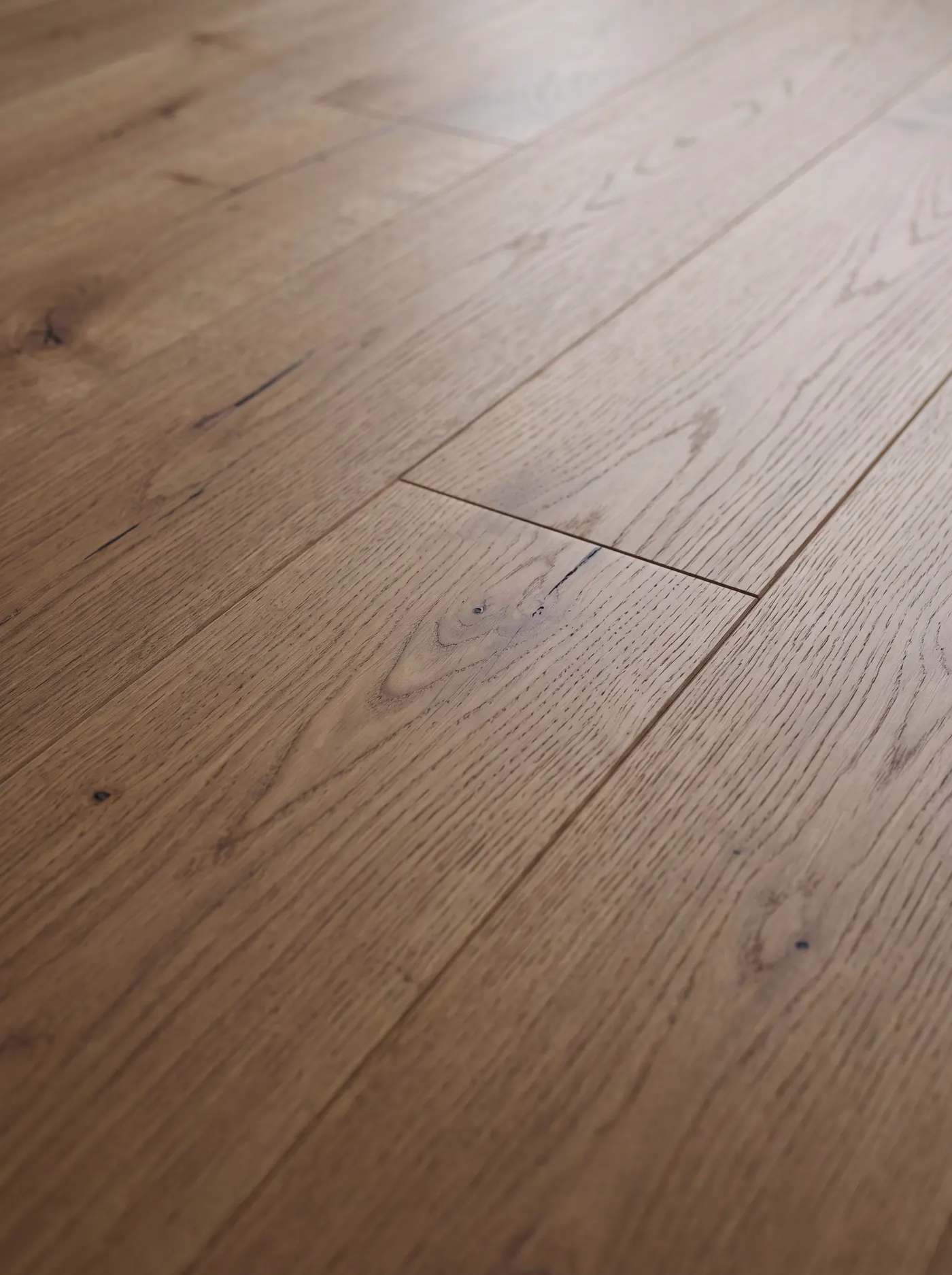 Oak Duomo — macro view