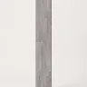 Ashveil