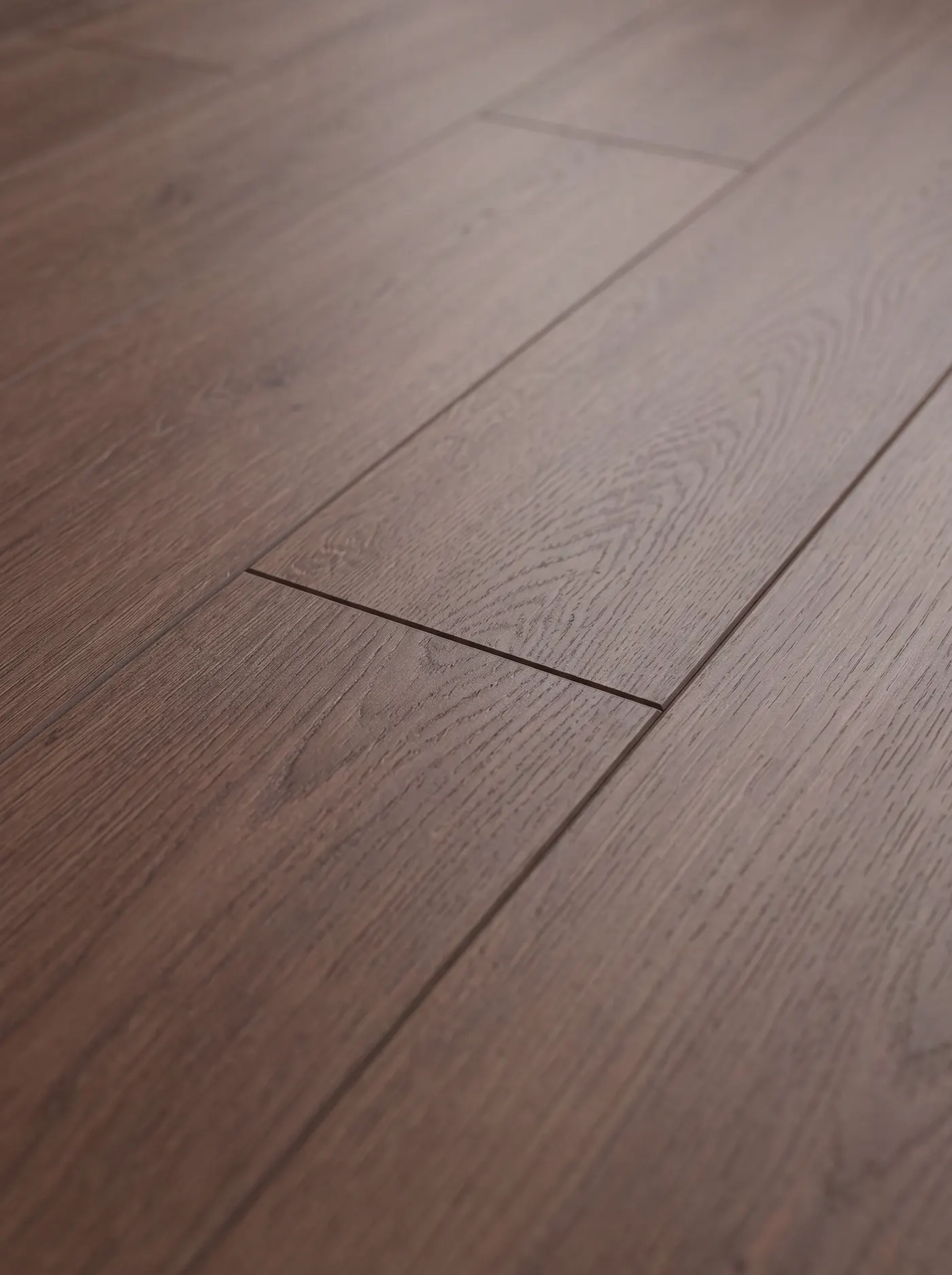 Cocoawood — macro view