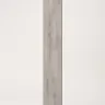 Silverbirch