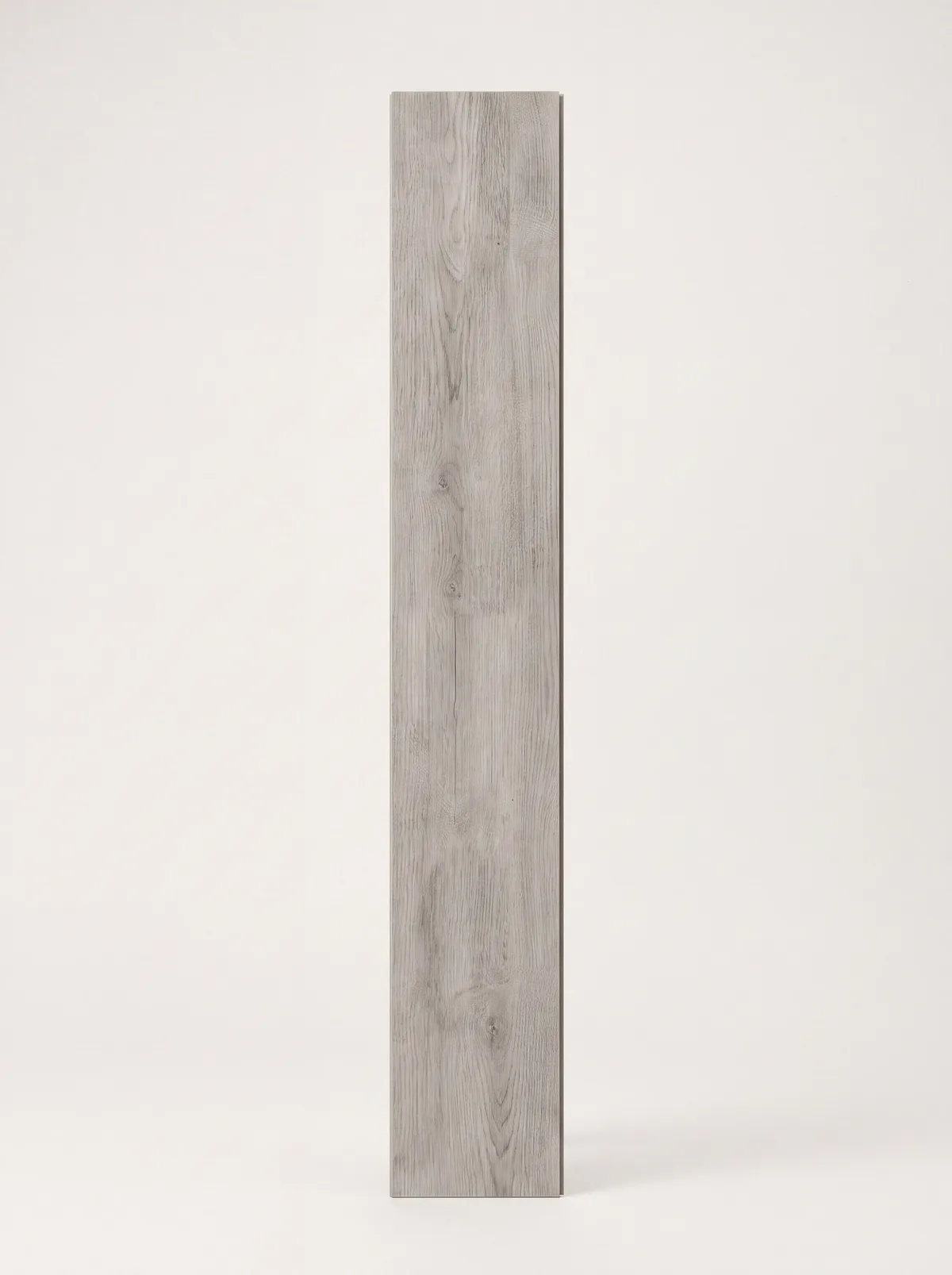 Silverbirch — Gallery Collection
