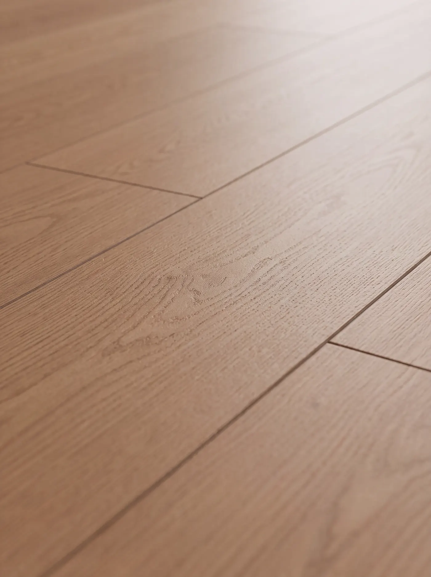 Boardwalk Oak — macro view