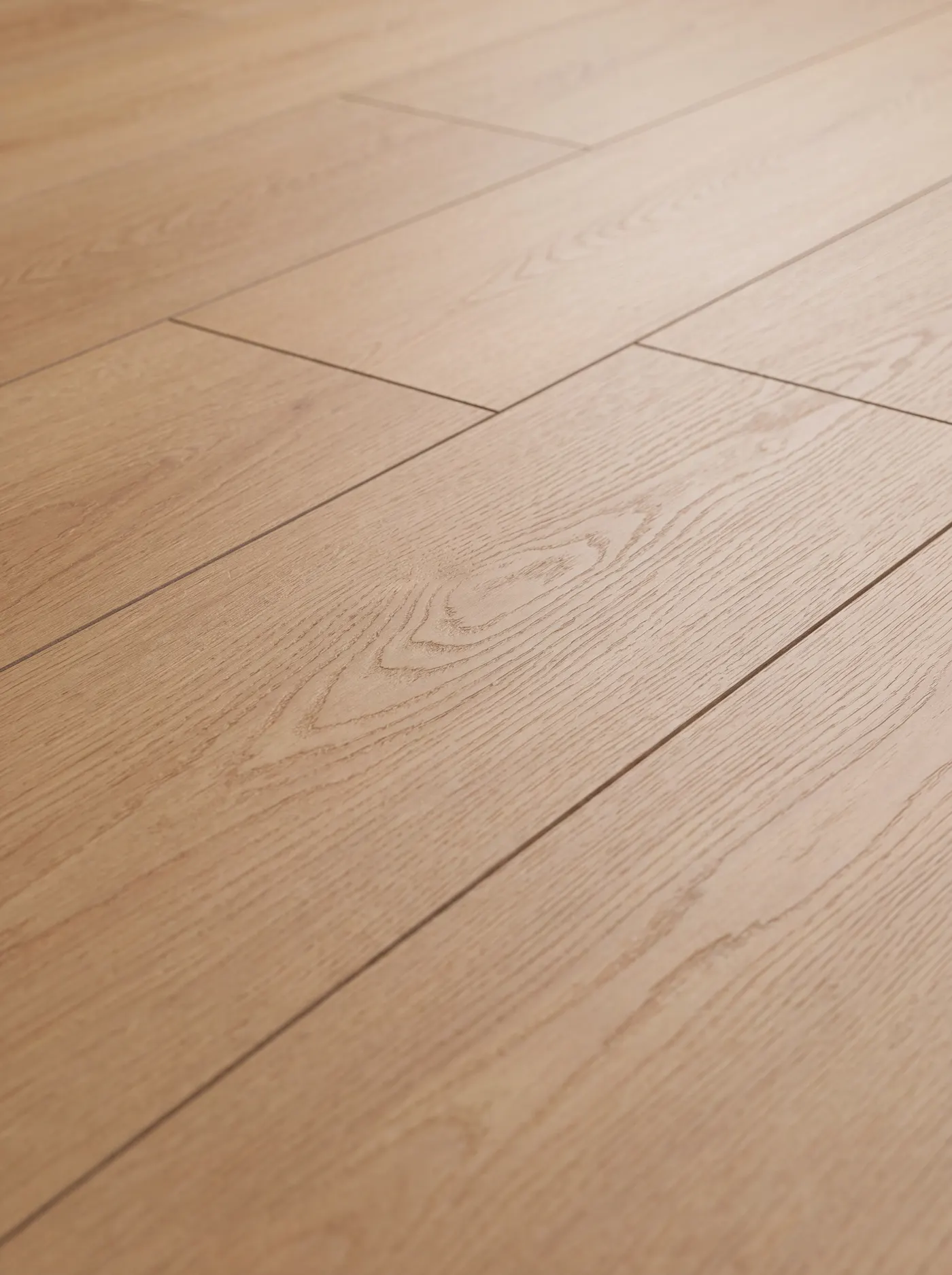 Sunhaven Oak — macro view