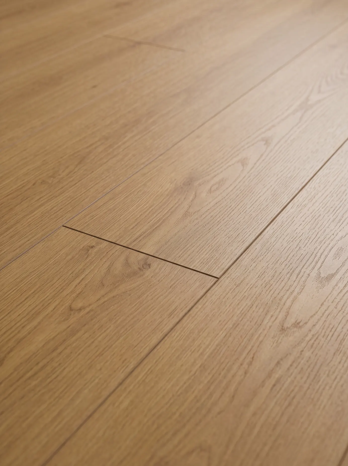 Simcoe Oak — macro view