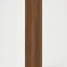 Walnut Admiral