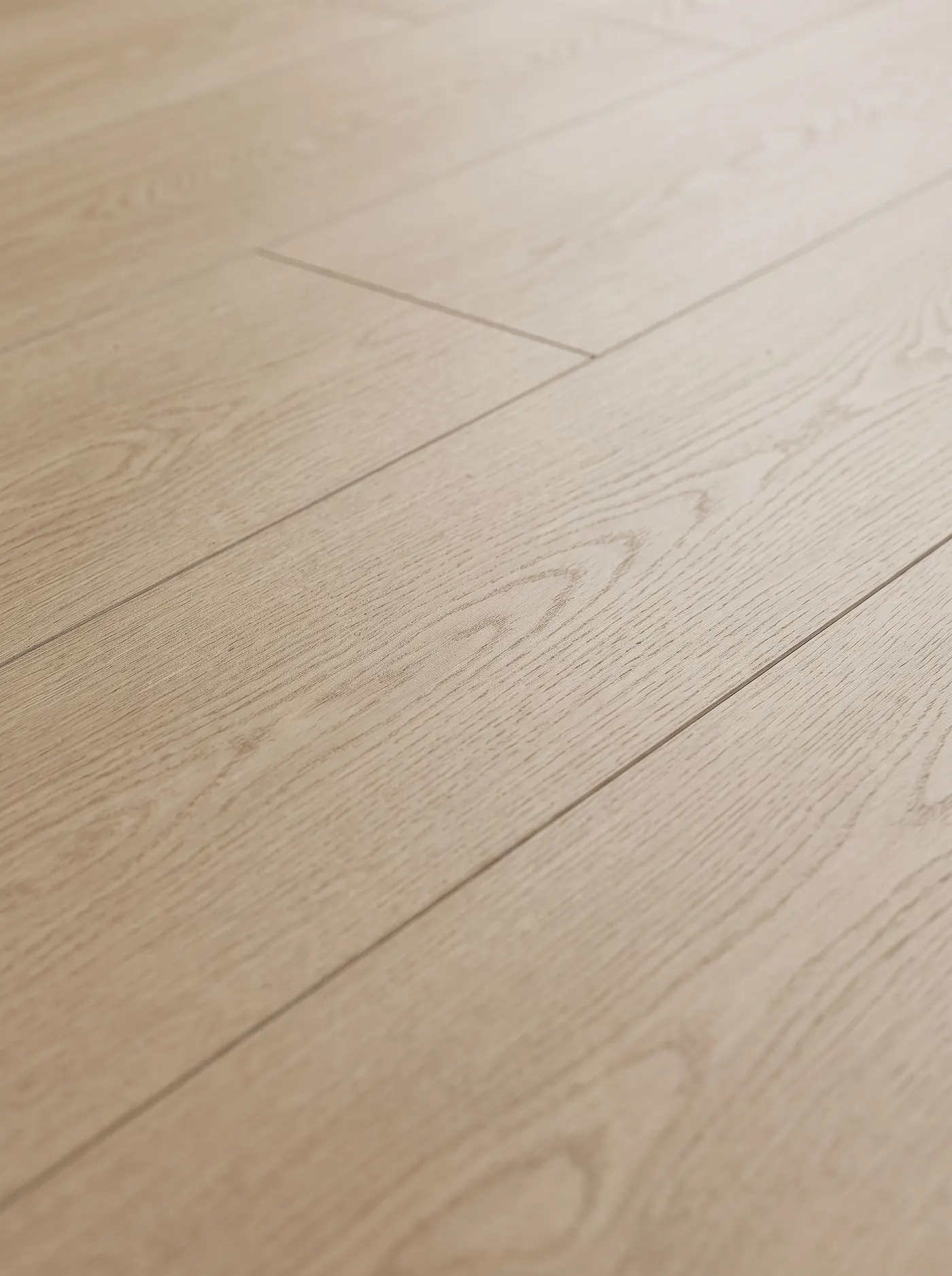 Oak Annex — macro view