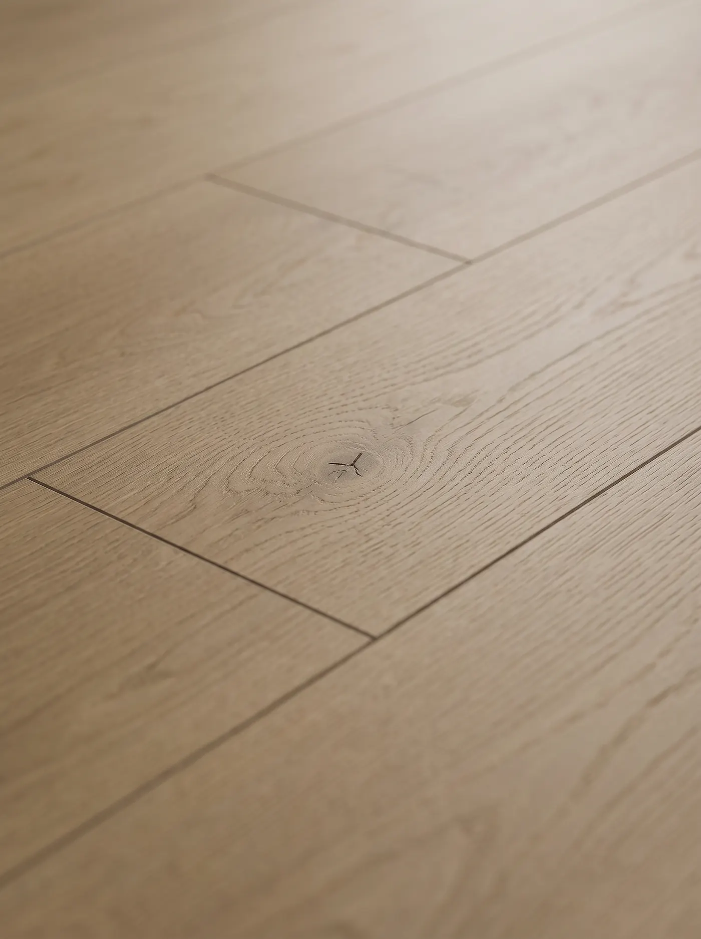 Oak Leaside — macro view